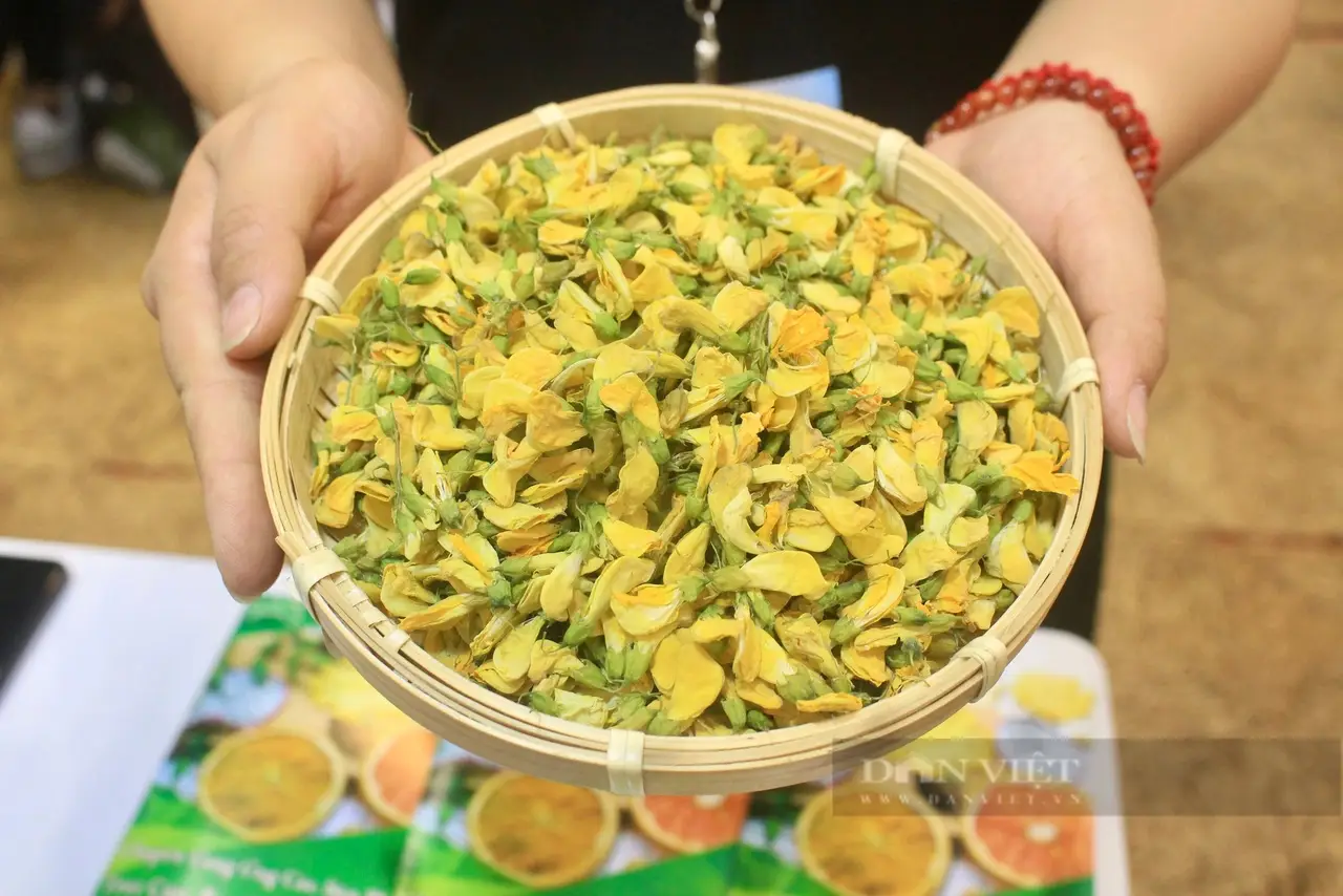  - Sấy Xanh Greeny