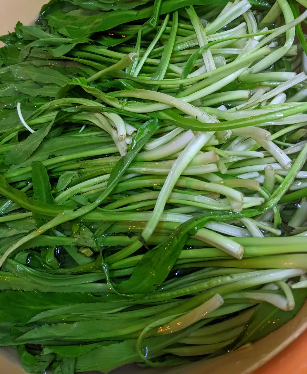 Sản phẩm Ngò Gai Sấy Khô - Sấy Xanh Greeny
